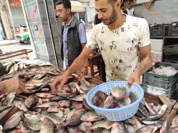 سوق الأسماك