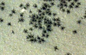 صورة من وكالة الفضاء الأوروبية لظاهرة عناكب المريخ