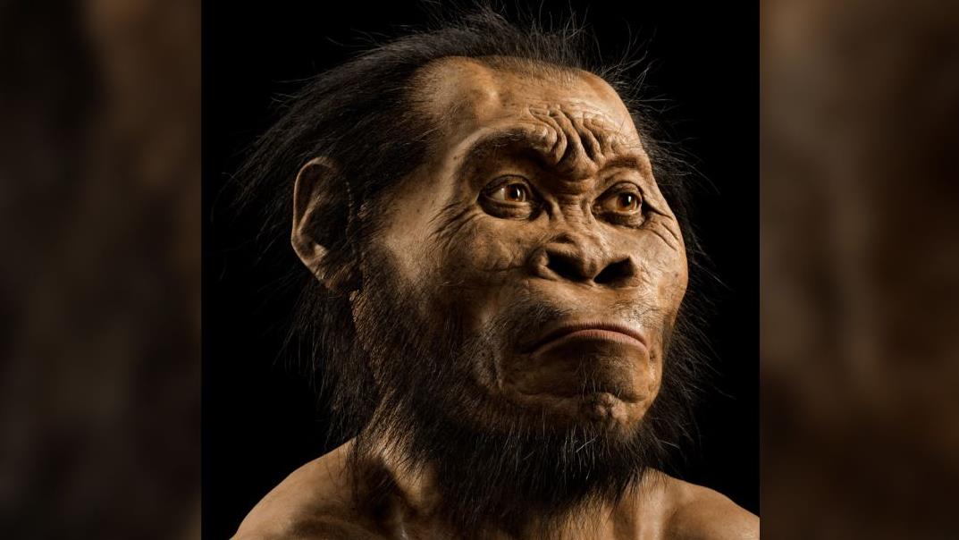هومو ناليدي بدأ طقوس الدفن قبل 200 ألف سنة