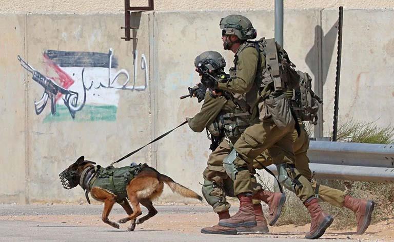 الكلاب البوليسية في جيش الاحتلال