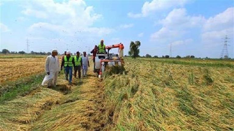 تحذير عاجل للمزارعين في الوادي الجديد بسبب الموجة 