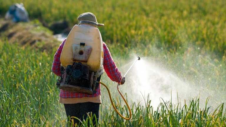 المبيدات الحشرية الزراعية ترتبط بأنوع عديدة من الس