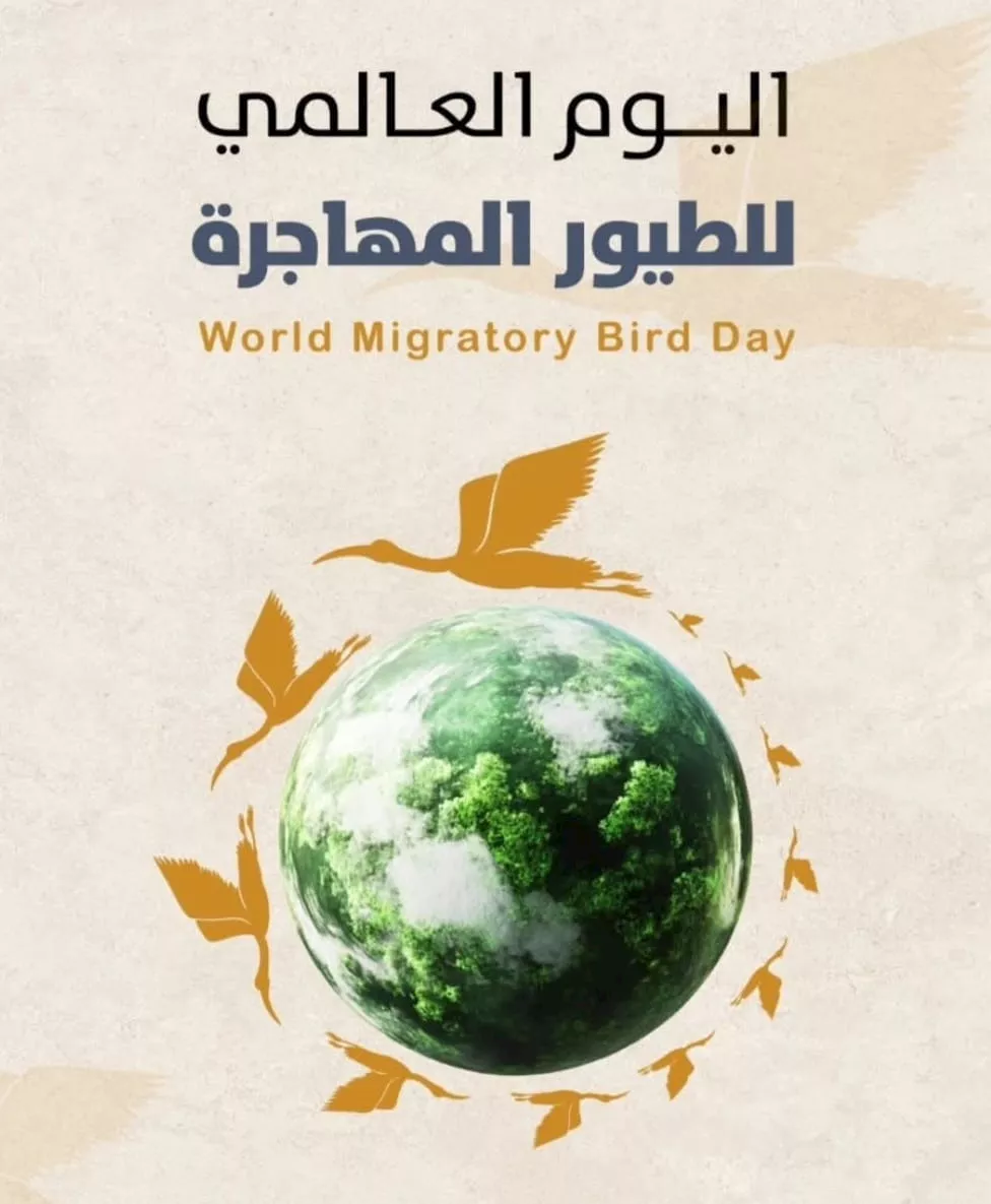 الطيور المهاجرة