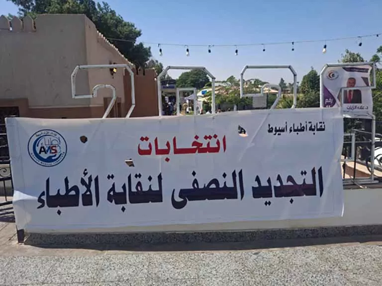 انتخابات التجديد 