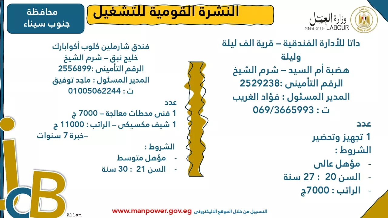 فرص عمل جديدة متاحة في مختلف المحافظات (38)