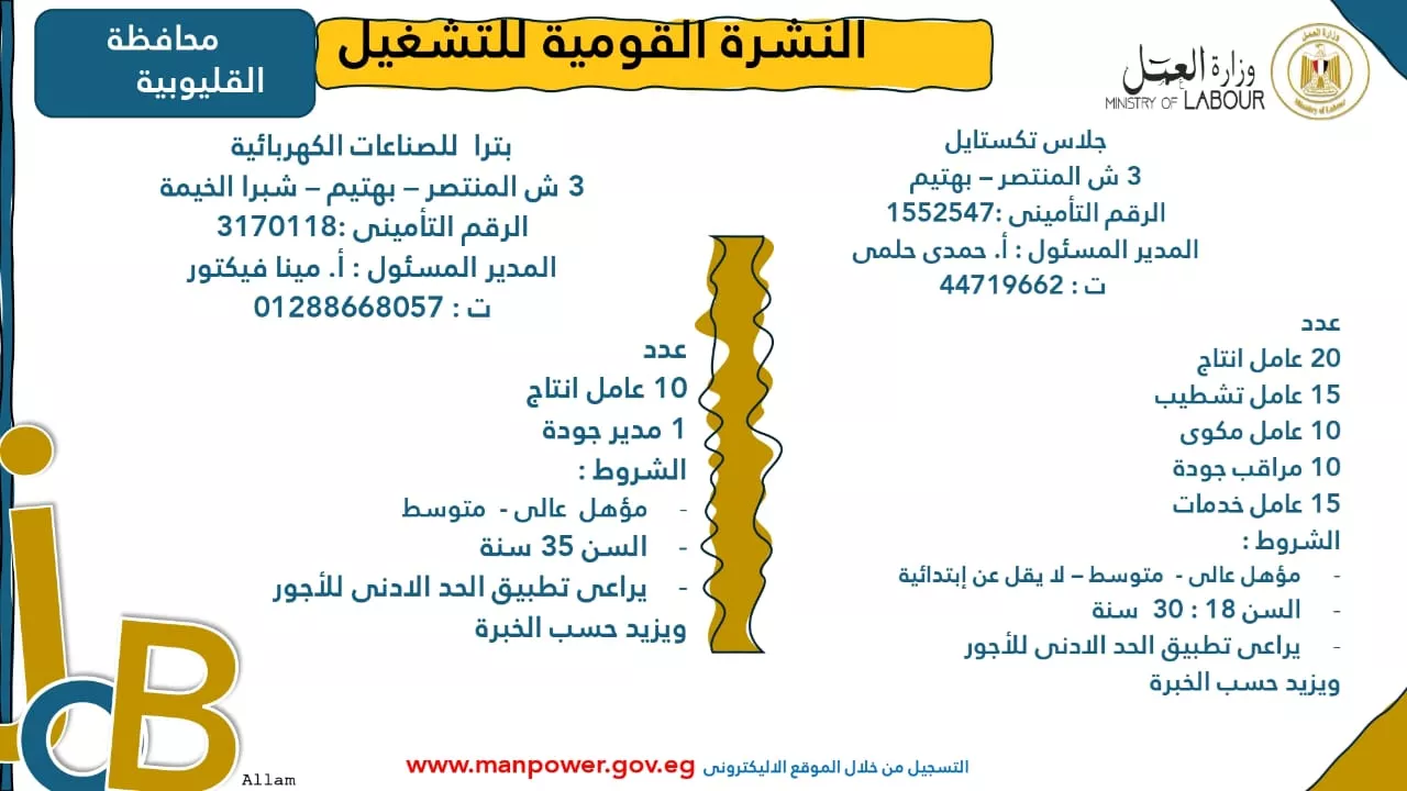 فرص عمل جديدة متاحة في مختلف المحافظات (42)