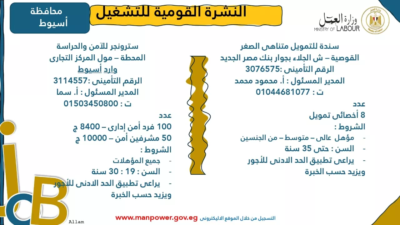 فرص عمل جديدة متاحة في مختلف المحافظات (62)