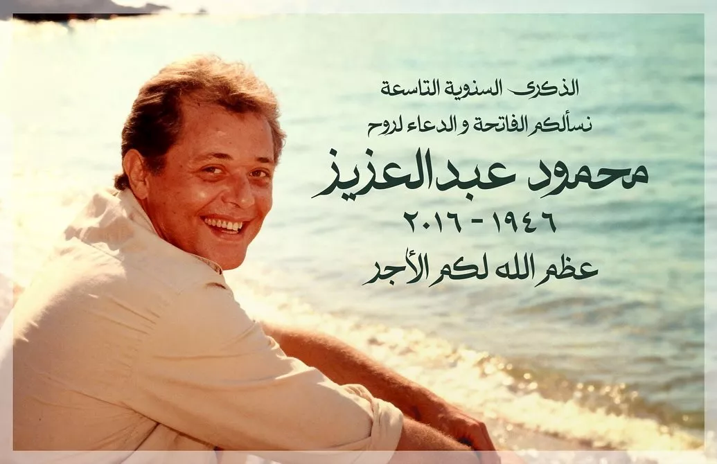 محمد محمود عبد العزيز