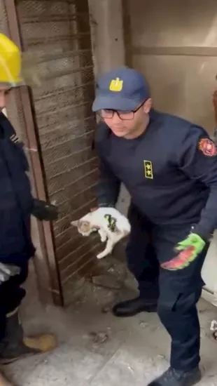 أمن الفيوم ينقذ قطة 