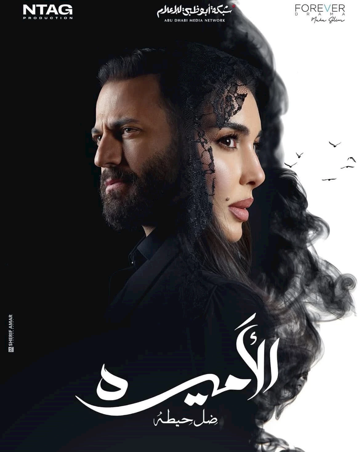 بوستر المسلسل (1)