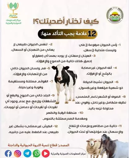 WhatsApp Image 2025-05-29 at 20.25.43