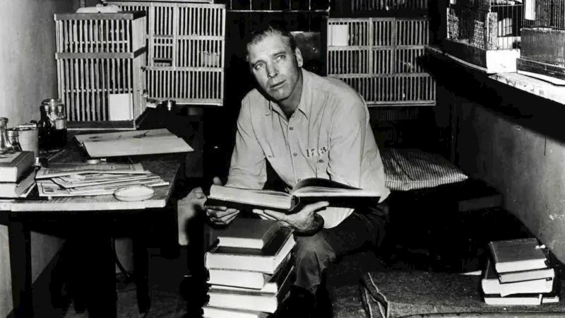 0bf89eb0-2a18-11f0-ba75-8b70220cc7e5_1_11zon