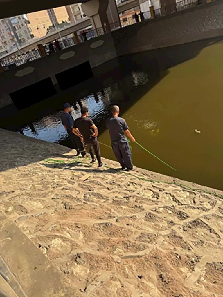 انتشال جثتي شابين من ترعة المريوطية