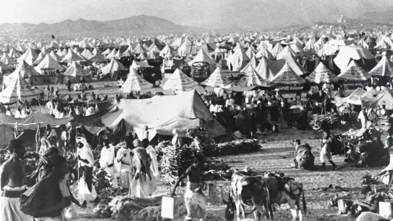 4321cfa0-3fc2-11f0-b894-1bc5031ee36f_2_11zon