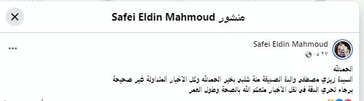 صفي الدين محمود