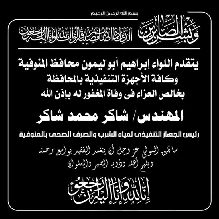 المهندس محمد نجيب صالح