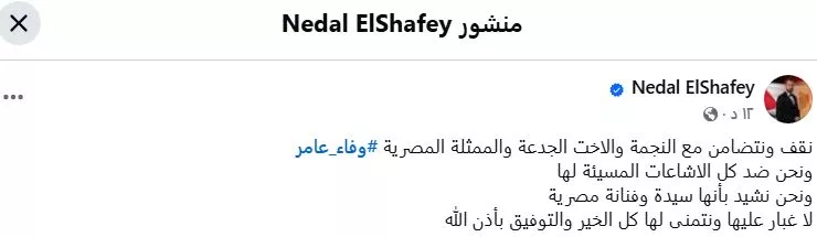 نضال الشافعي