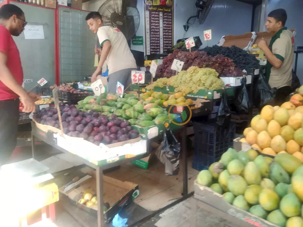 af26862e-2e58-47e5-8195-71f888e6ad45