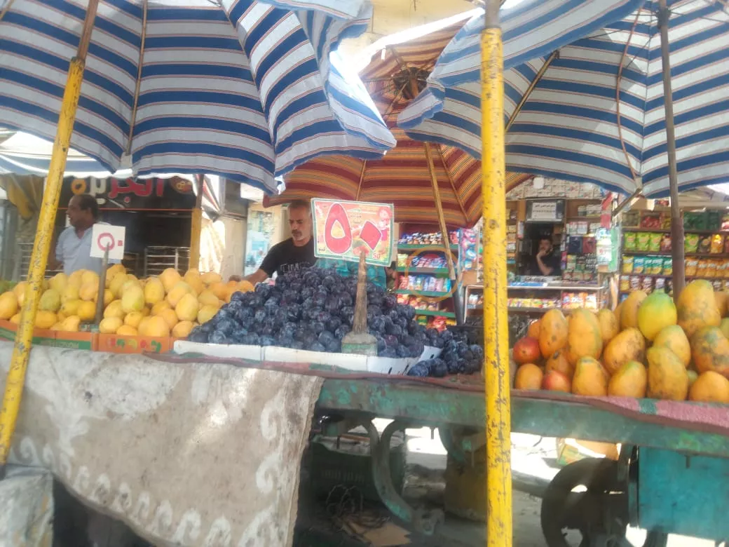 205716a3-b97d-402e-86fd-3255a4abcd3c