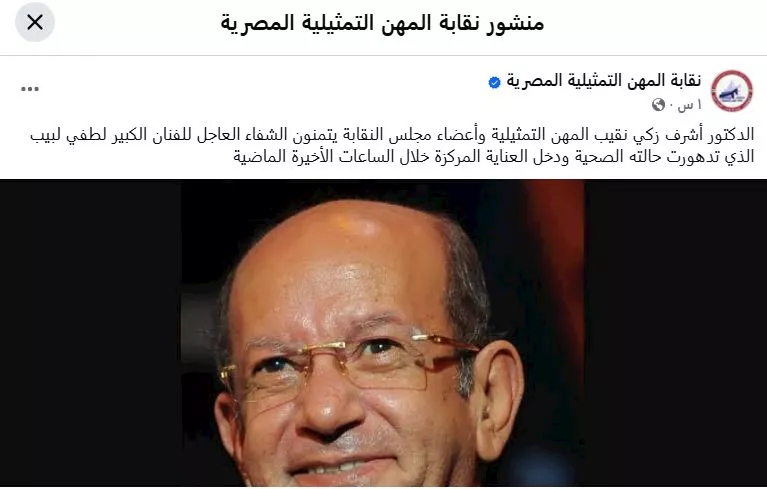 نقابة المهن التمثلية