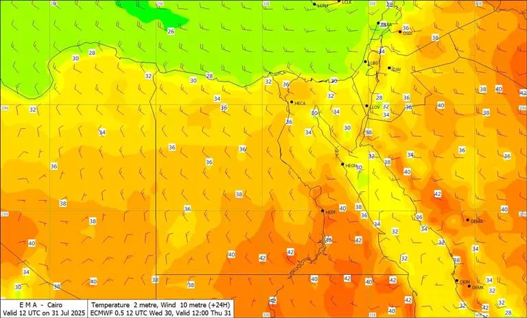 525308489_1162820129209886_7843891592522315774_n