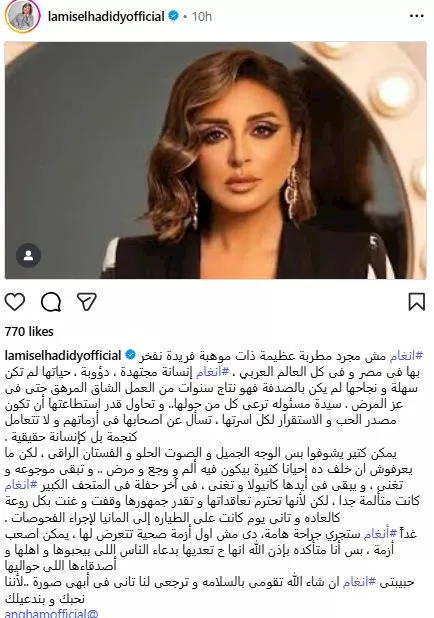لميس الحديدي