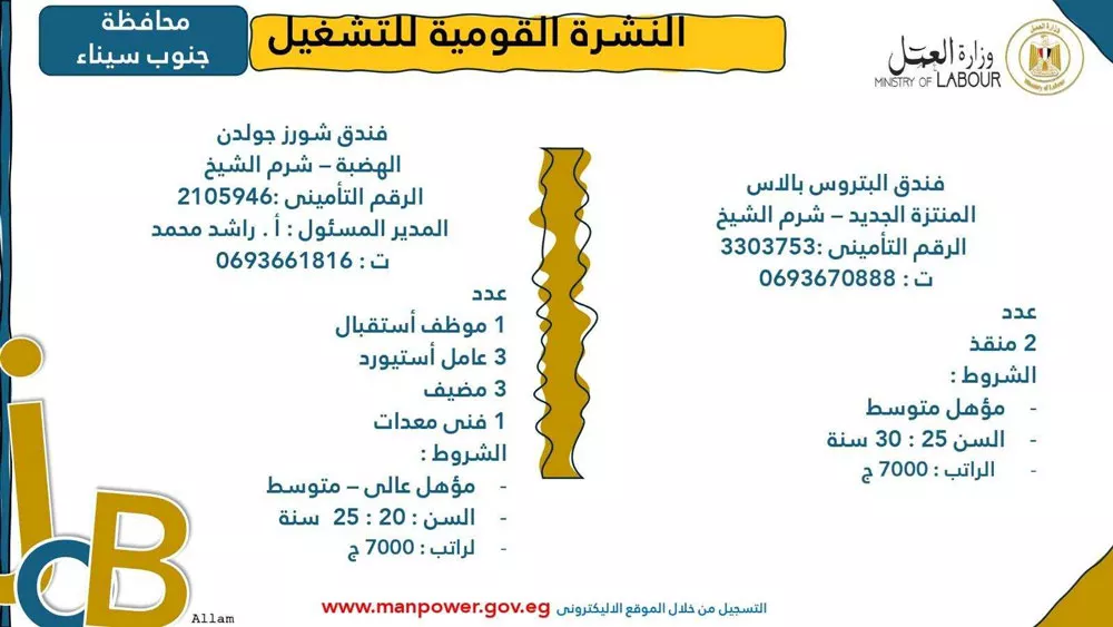 وزارة العمل