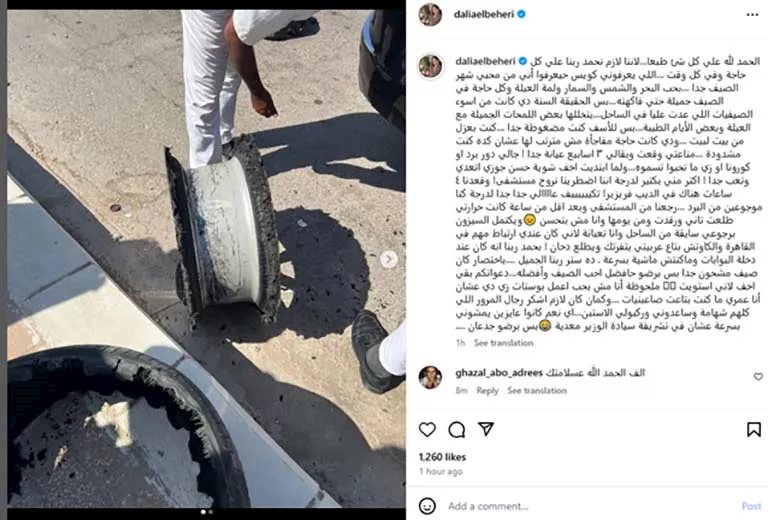 منشور داليا