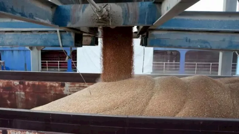 e5011000-93d3-11f0-bab6-4787ef35d8ed_2_11zon