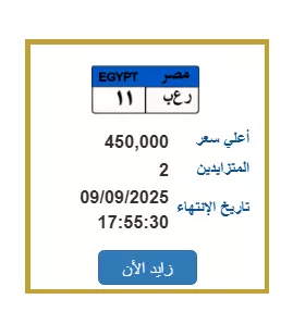 مزاد إلكتروني