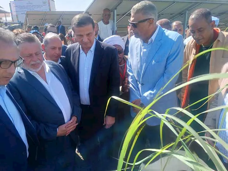 مشروع شتلات قصب السكر