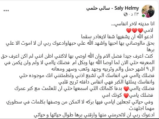 سالي حلمي