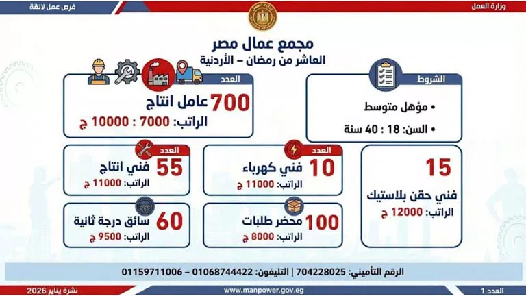 نشرة الوظائف (30)