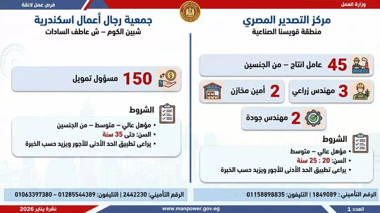 نشرة الوظائف (29)