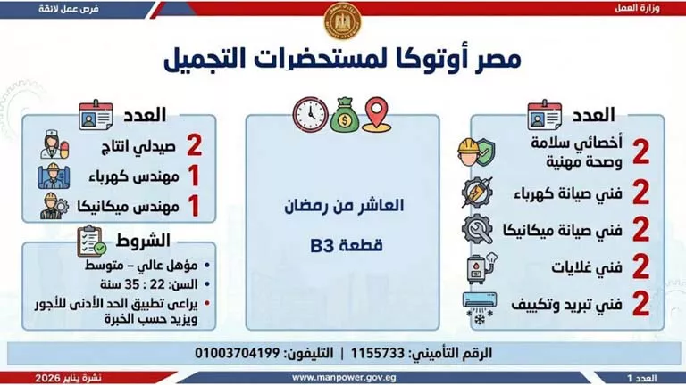 نشرة الوظائف (31)