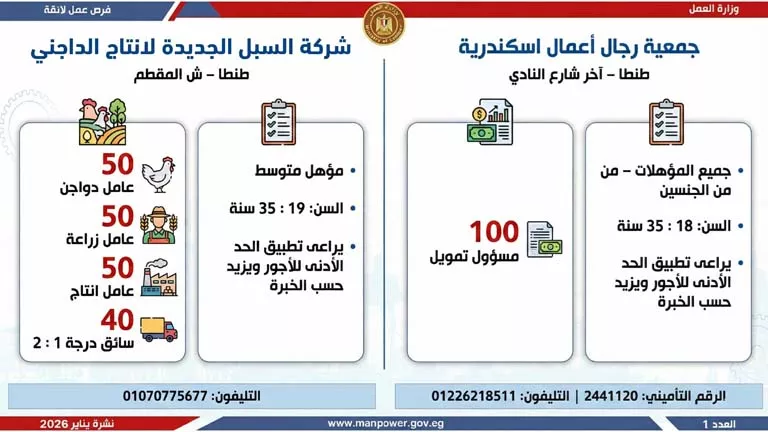 نشرة الوظائف (35)