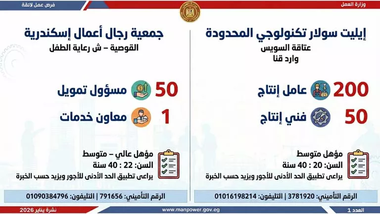 نشرة الوظائف (40)