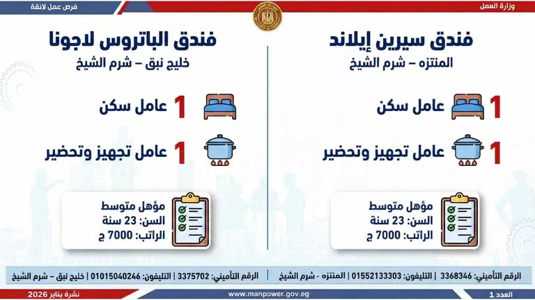 نشرة الوظائف (44)