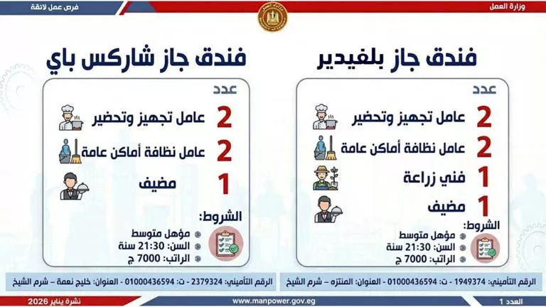 نشرة الوظائف (45)