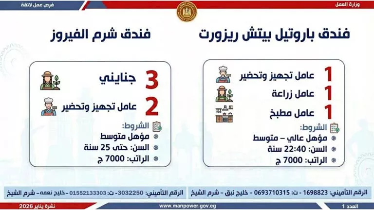 نشرة الوظائف (47)