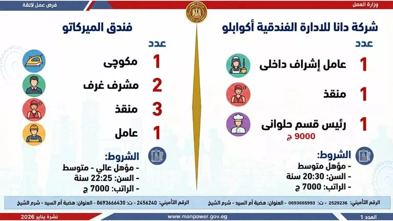 نشرة الوظائف (50)