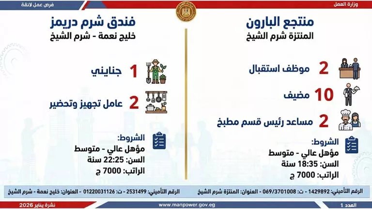 نشرة الوظائف (51)