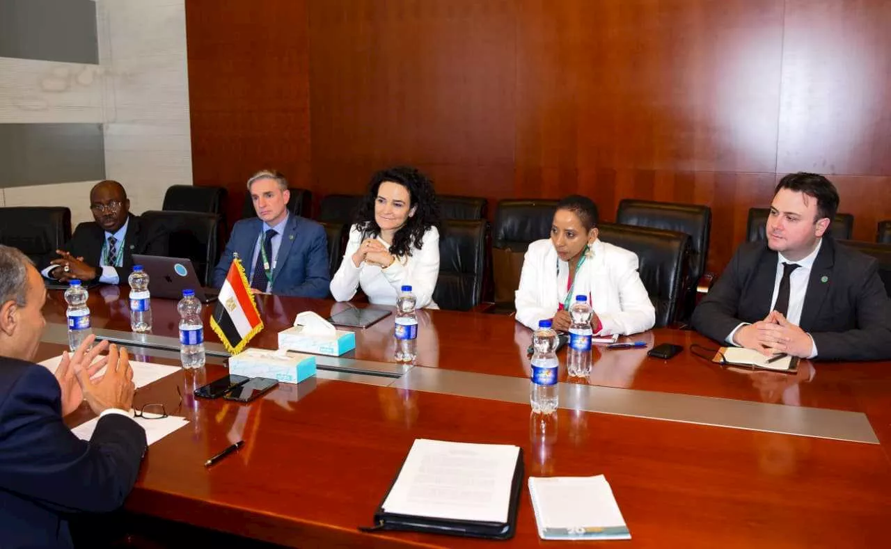 الدكتور بدر عبد العاطي (1)