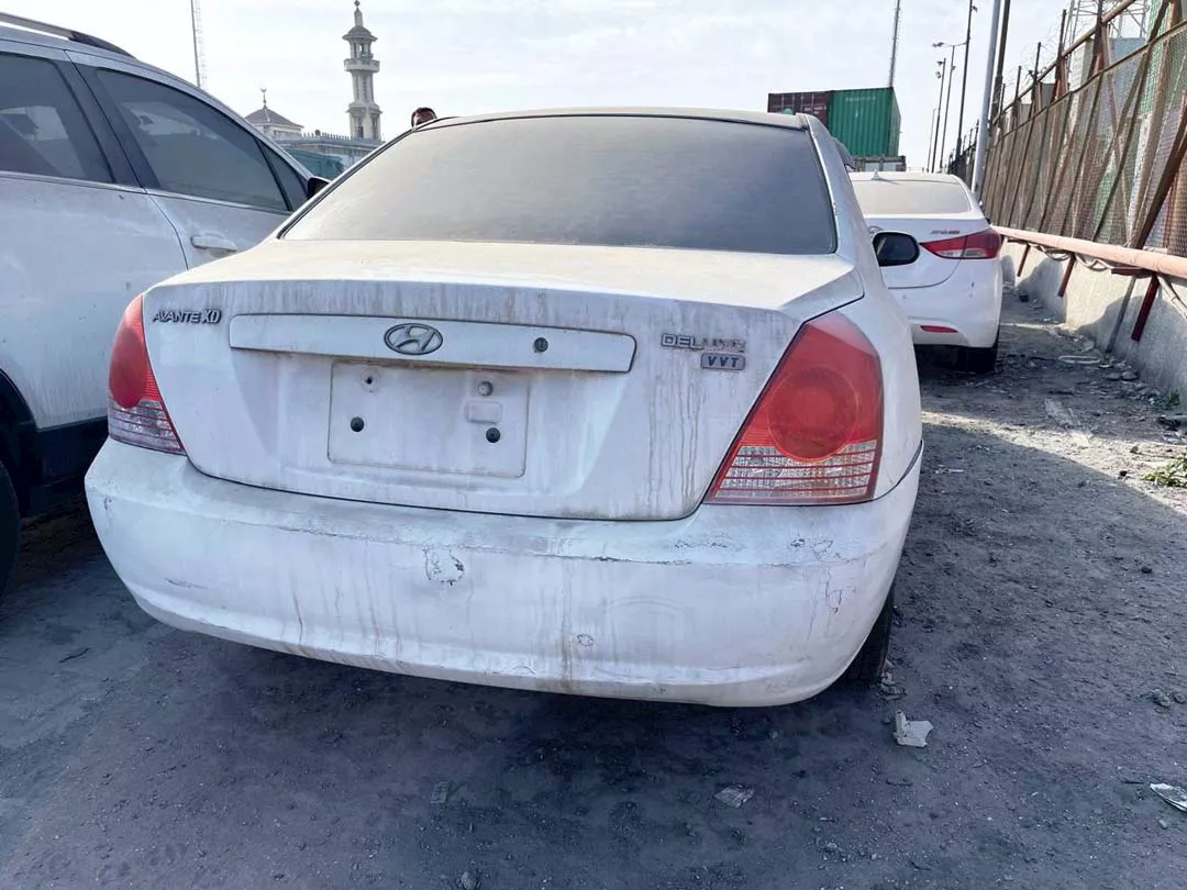 جانب من السيارات المعروضة بالمزاد