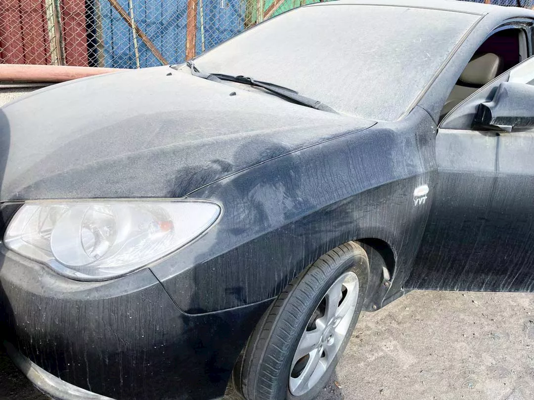 جانب من السيارات المعروضة بالمزاد