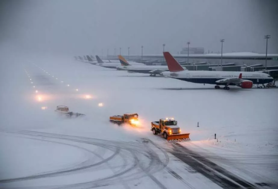 17714129414160951171_1200x630