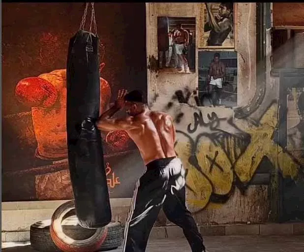 مهن نجوم دراما رمضان 2026