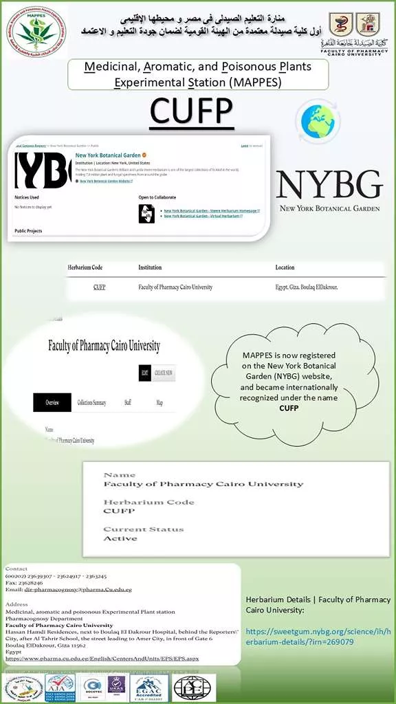 54144ef7-d605-45c4-905b-82398a8cf713_1_11zon