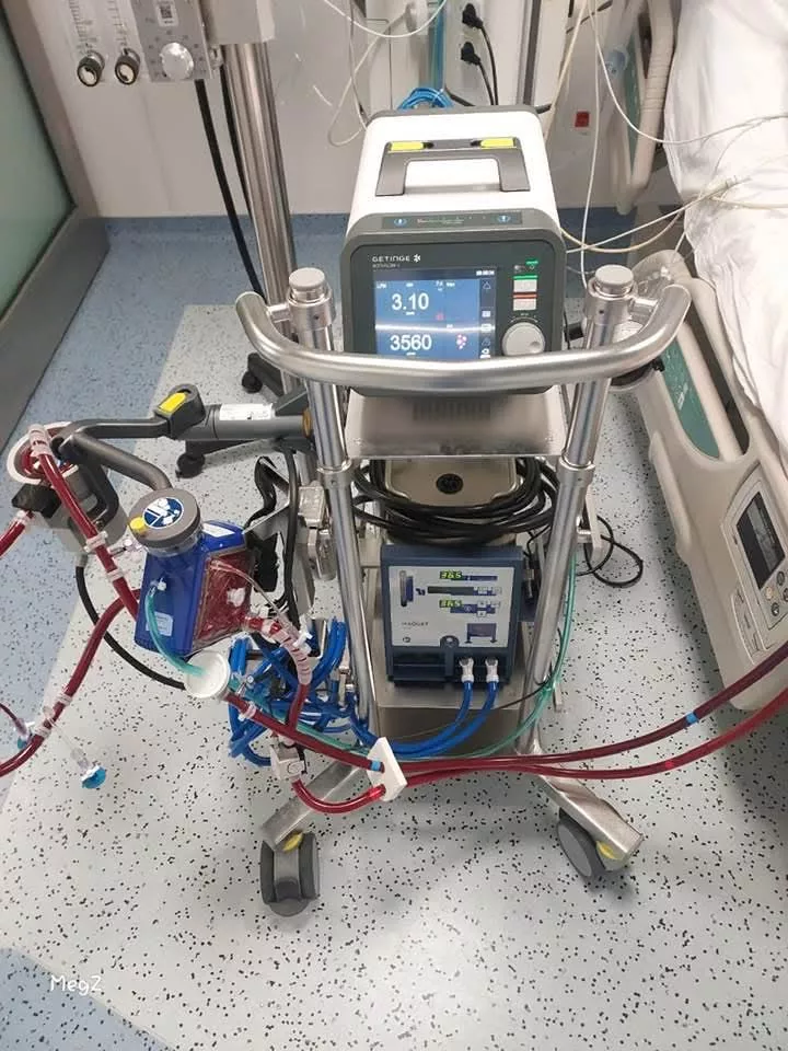 WhatsApp Image 2026-03-14 at 11.45.01 AM