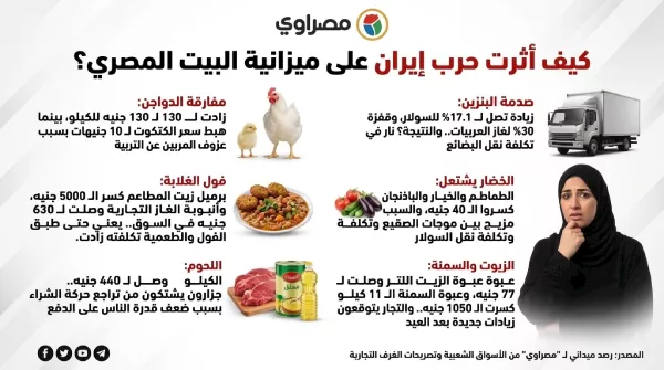 إنفوجراف مصمم بالذكاء الاصطناعي لعرض آثار الأزمة على مصر